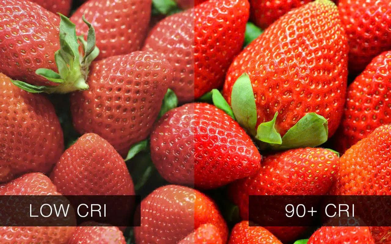 Chỉ Số Hoàn Màu CRI Là Gì? Vì Sao CRI Quan Trọng Trong Chiếu Sáng Hiện Đại